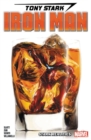 Image for Tony Stark: Iron Man Vol. 2 - Stark Realities