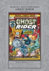 Image for Ghost riderVol. 2