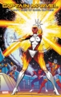 Image for Captain Marvel  : the many lives of Carol Danvers