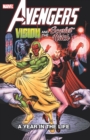 Image for Vision and the Scarlet Witch  : a year in the life