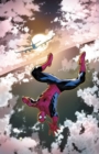Image for Non-stop Spider-man Vol. 2