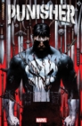 Image for Punisher Vol. 1