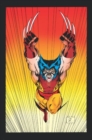 Image for Wolverine Omnibus Vol. 2