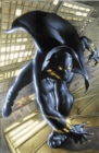 Image for Black Panther By Christopher Priest Omnibus Vol. 1