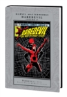 Image for Marvel Masterworks: Daredevil Vol. 17