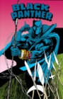 Image for Black Panther: Panther&#39;s Prey Omnibus