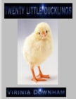 Image for Twenty Little Ducklings