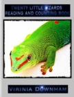 Image for Twenty Little Lizards Reading and Counting Book