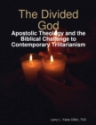 Image for Divided God: Apostolic Theology and the Biblical Challenge to Contemporary Triitarianism