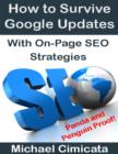 Image for How to Survive Google Updates With On-Page SEO Strategies (Panda and Penguin Proof)