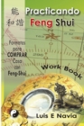 Image for Practicando Feng Shui : Planillas y Formatos de Trabajo - Work Book