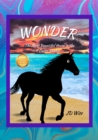 Image for Wonder : The Most Beautiful Horse On The Outer Banks