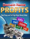 Image for Domain Name Profits - Buy Cheap and Sell High Make Money Today