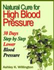 Image for Natural Cure for High Blood Pressure: 30 Days Step By Step Lower Blood Pressure
