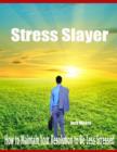 Image for Stress Slayer - How to Maintain Your Resolution to Be Less Stressed