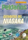 Image for Ladders Social Studies 4: Las cataratas del Niagara (Niagara Falls)  (on-level)