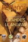 Image for Ladders Social Studies 4: Nativo-americanos de las Grandes Llanuras  (Native Americans of the Great Plains) (on-level)