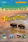 Image for Ladders Social Studies 5: Parque nacional Yellowstone (Yellowstone  National Park) (on-level)