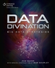 Image for Data Divination : Big Data Strategies