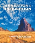 Image for Sensation and Perception