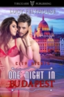 Image for One Night in Budapest