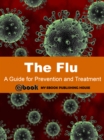 Image for Flu: A Guide for Prevention and Treatment.
