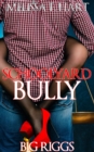 Image for Schoolyard Bully (Big Riggs, Book 1)