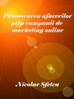 Image for Promovarea Afacerilor Prin Campanii De Marketing Online