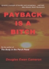 Image for Payback Is a Bitch