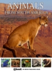 Image for Animals from South America.
