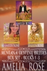 Image for Montana Destiny Brides Box Set: Books 1-3