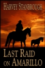 Image for Last Raid on Amarillo