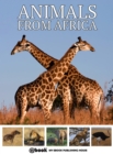 Image for Animals from Africa.
