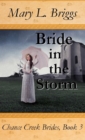 Image for Bride in the Storm (Chance Creek Brides Book 3)