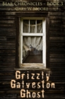Image for Grizzly Galveston Ghost: Bear Chronicles Book 3