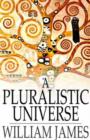 Image for Pluralistic Universe