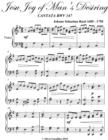 Image for Jesu Joy of Man&#39;s Desiring Easy Intermediate Piano Sheet Music