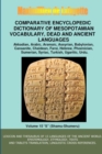 Image for V15.Comparative Encyclopedic Dictionary of Mesopotamian Vocabulary Dead &amp; Ancient Languages
