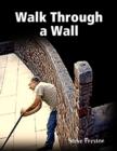 Image for Walk Through a Wall