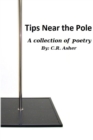 Image for Tips Near the Pole