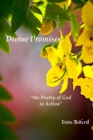 Image for Divine Wisdom : the Poetry of God in Action