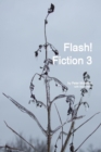 Image for Flash! Fiction 3
