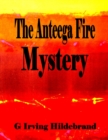 Image for Anteega Fire Mystery