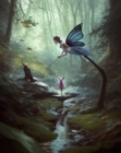 Image for Fairy Lilly and her grand adventure