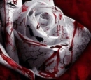 Image for Three Roses: Christina Rose - Journal Entry