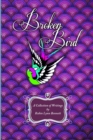 Image for Broken Bird