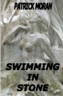 Image for Swimming in Stone