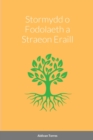 Image for Stormydd o Fodolaeth a Straeon Eraill