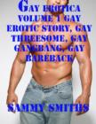 Image for Gay Erotica Volume 1 Gay Erotic Story, Gay Threesome, Gay Gangbang, Gay Bareback