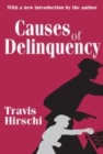 Image for Causes of Delinquency